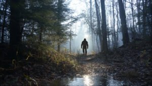 Read more about the article What Is the Pennsylvania Bigfoot Sighting of 2025?